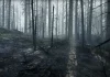 Les shaders dans Unreal Engine 5 apporte davantage de réalisme.