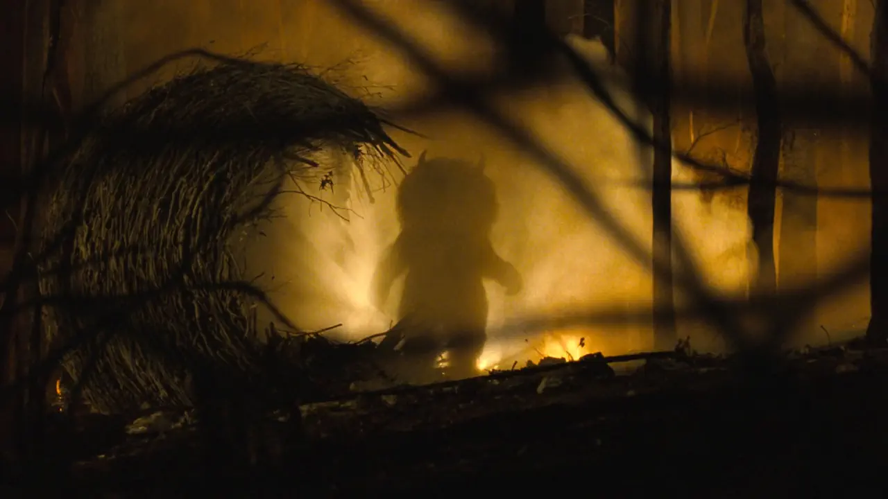 Entre conte pour enfant et film psychologique, Where the Wild Things Are a eu du mal à trouver son public.
