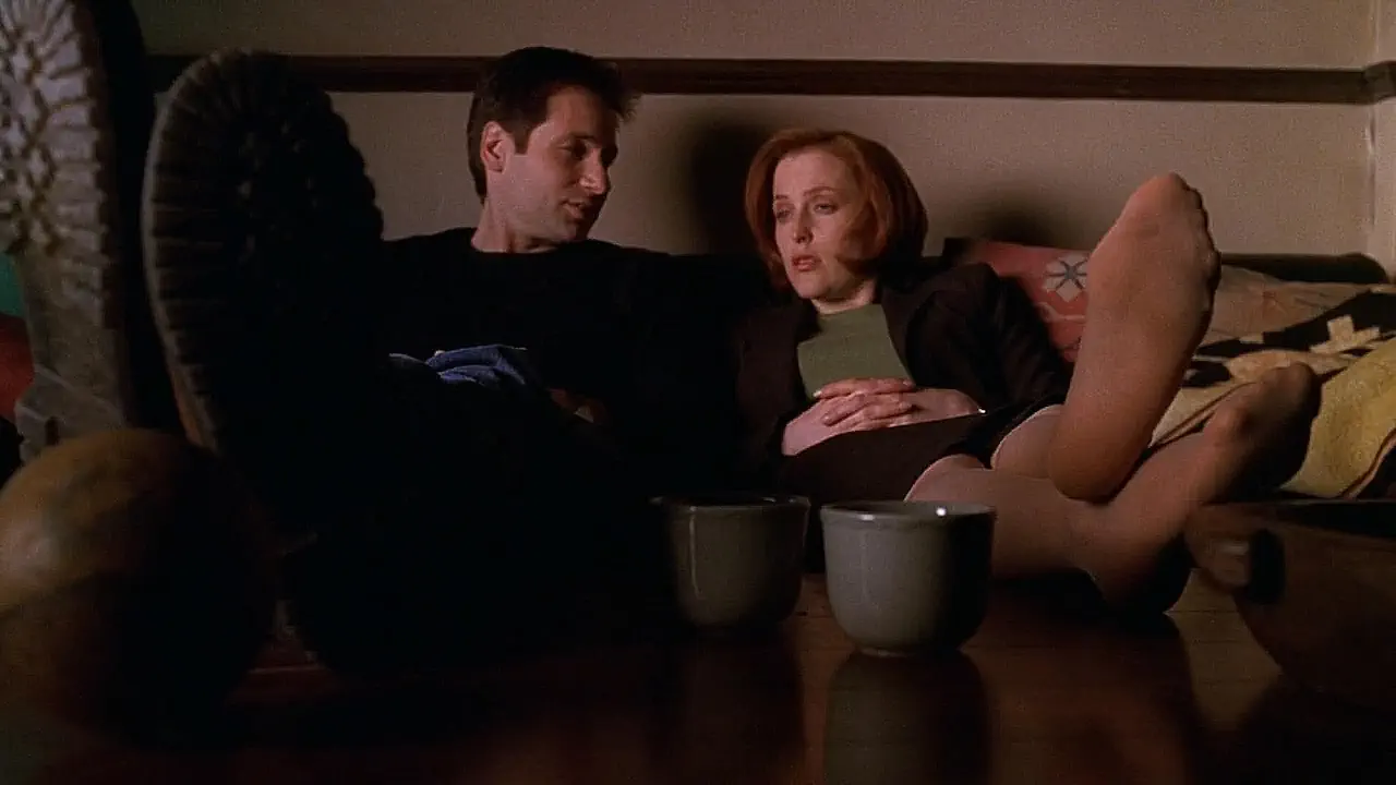 X-Files : Aux frontières du réel suit les agents Mulder et Scully enquêtant sur des affaires paranormales mêlant mystères, monstres et phénomènes inexpliqués. Derrière ces enquêtes se cache un vaste complot gouvernemental où croyance et rationalité s’opposent constamment.