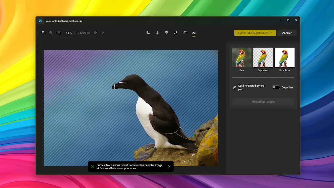 L’application Photos de Windows 11 propose une interface simple avec des outils essentiels comme le recadrage, les filtres et les réglages de lumière. L’onglet Arrière-plan permet de supprimer, flouter ou remplacer le fond en un clic pour un rendu propre et professionnel.