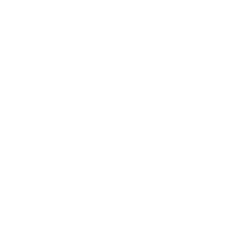 Mastodon